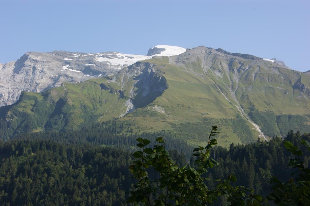 Hotel Schweizerhof Ένγκελμπεργκ Εξωτερικό φωτογραφία