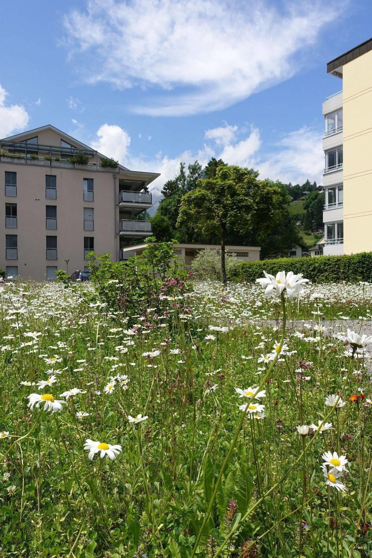 Hotel Schweizerhof Ένγκελμπεργκ Εξωτερικό φωτογραφία